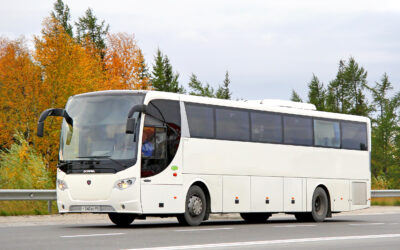 PATENTE D (AUTOBUS)